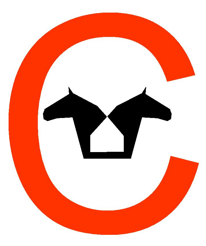 logo-consultancy - large.jpg (35106 bytes)