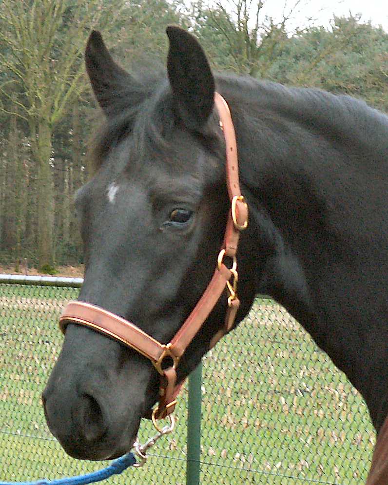 head3.jpg (107697 bytes)