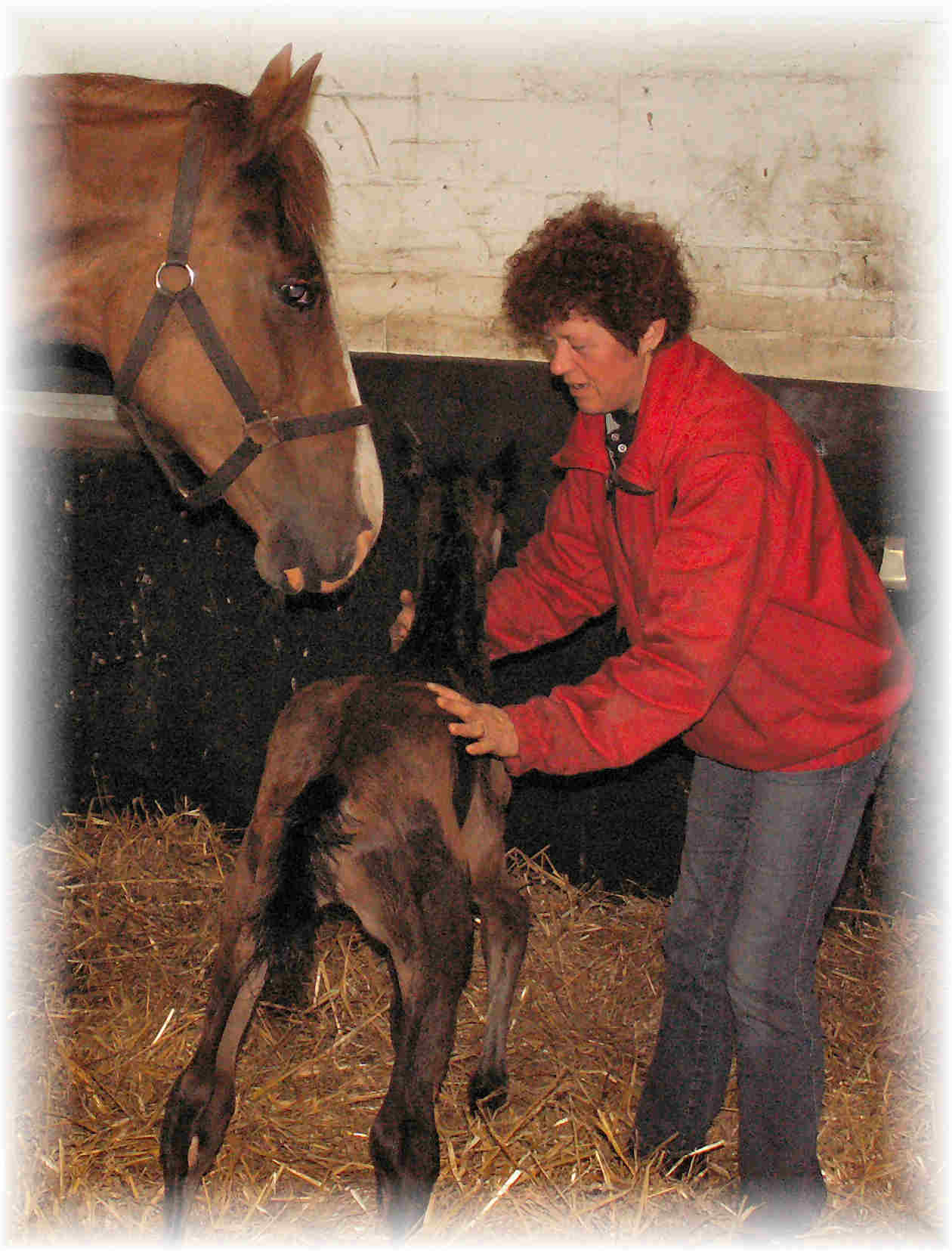 atlantis_linda_nivaldo_soft50.jpg (129148 bytes)