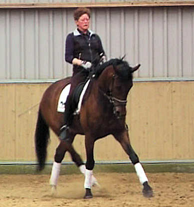 Atlantis training trot 1