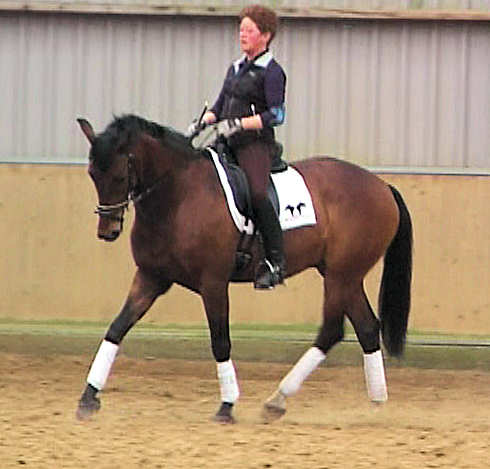 Atlantis training trot 2