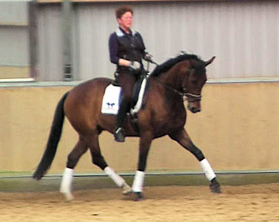 Atlantis training trot 3