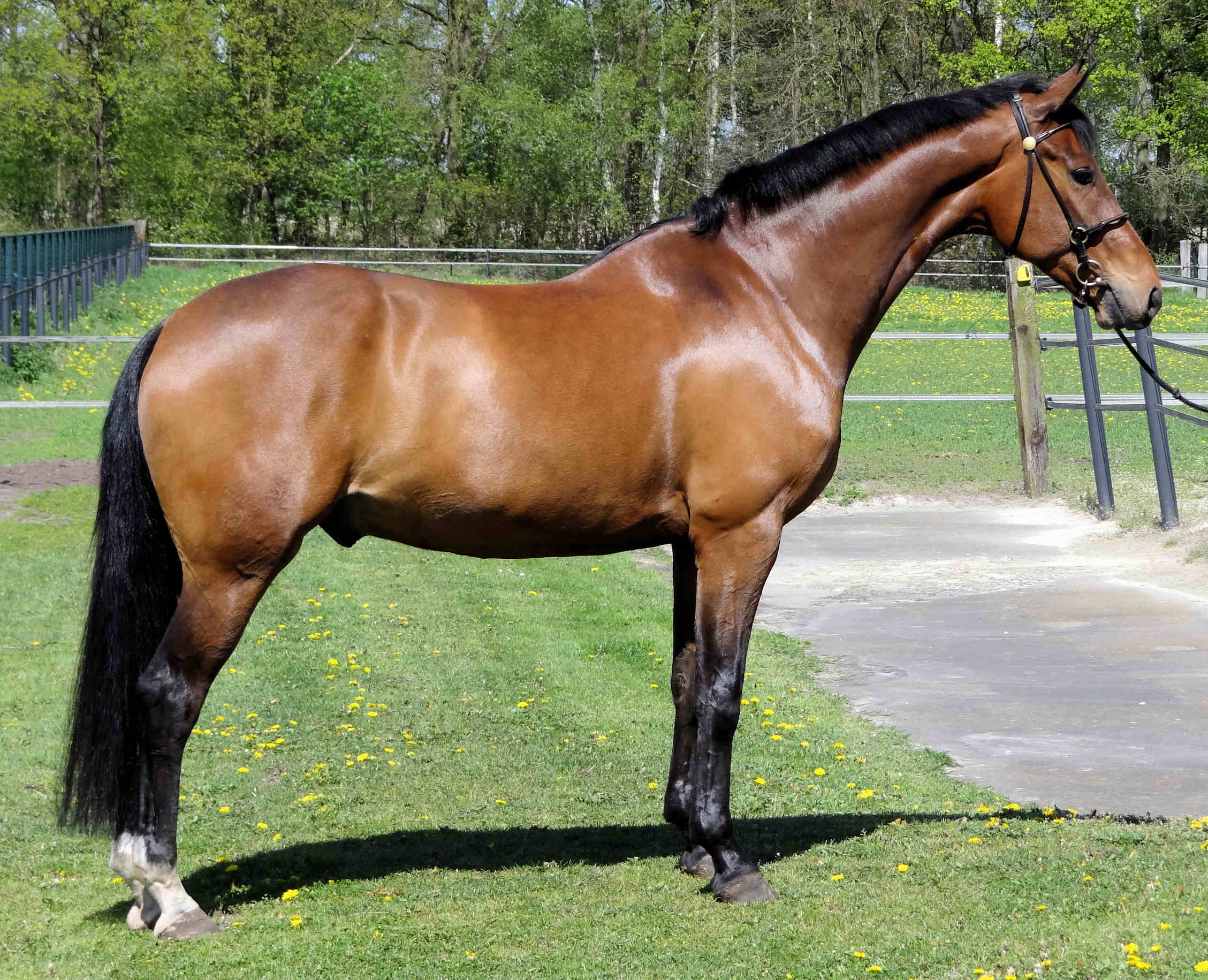 Atlantis stand apr 2012