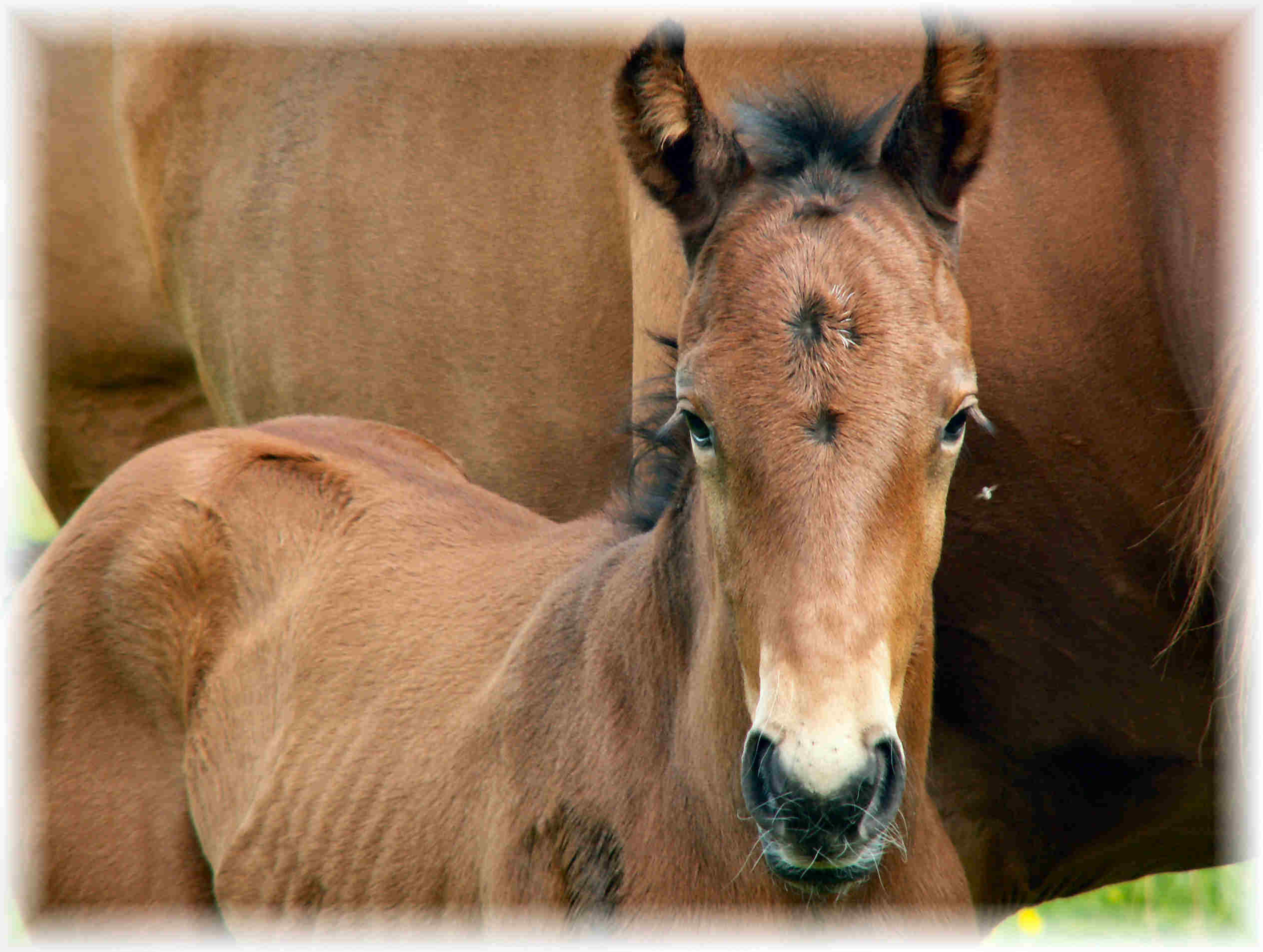 with nivaldo.jpg (206989 bytes)