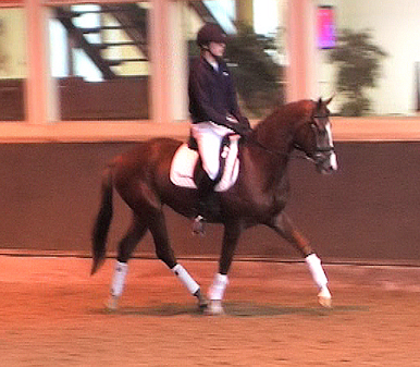 Chivadora Deurne 2010