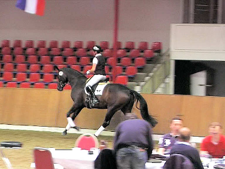copacabana under saddle