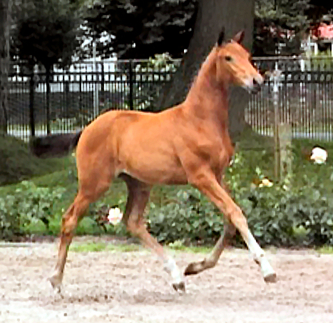 fotodag_bew.jpg (316920 bytes)