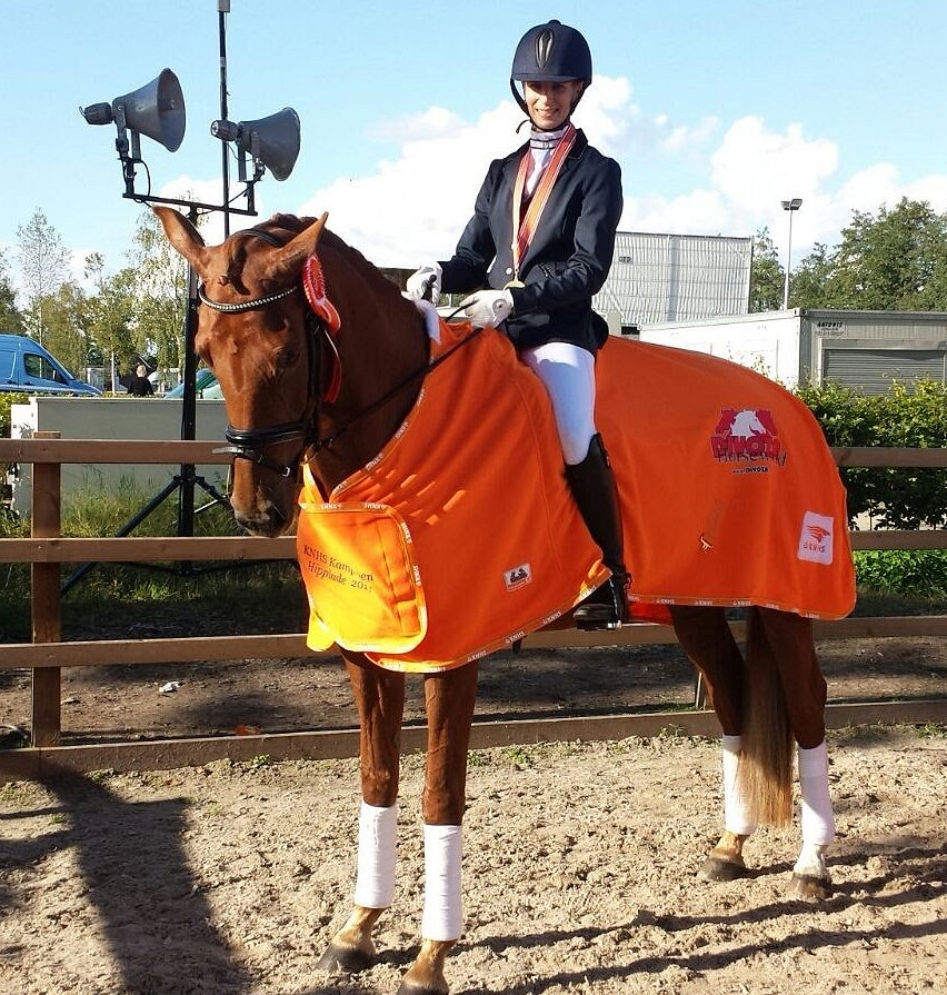 Gajadora kampioen Z viertal Hippiade