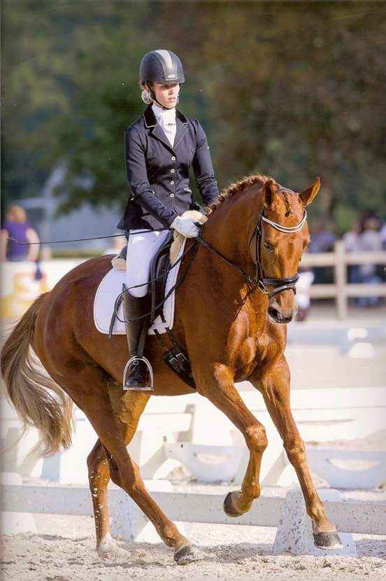 Gajadora at Nationals