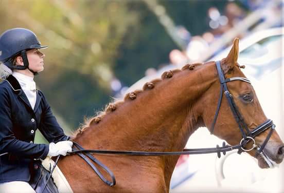 Gajadora at Nationals