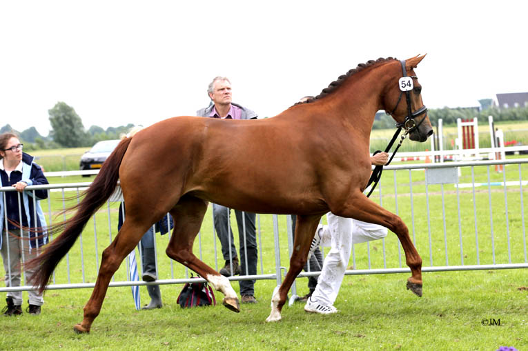 Haloa 4 yrs old at CK