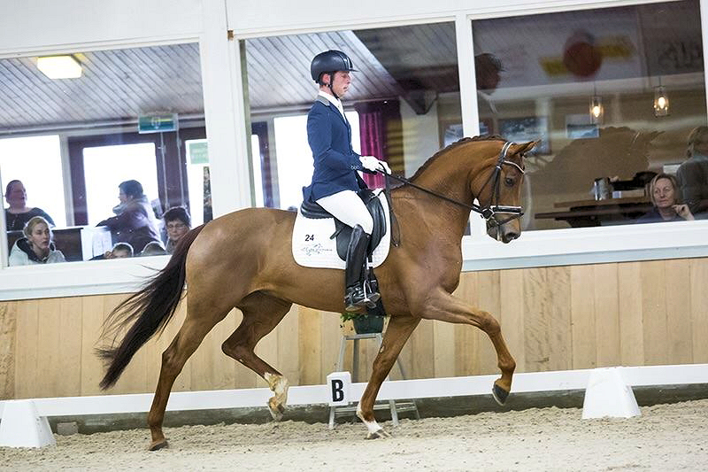 Haloa vd Sande competition