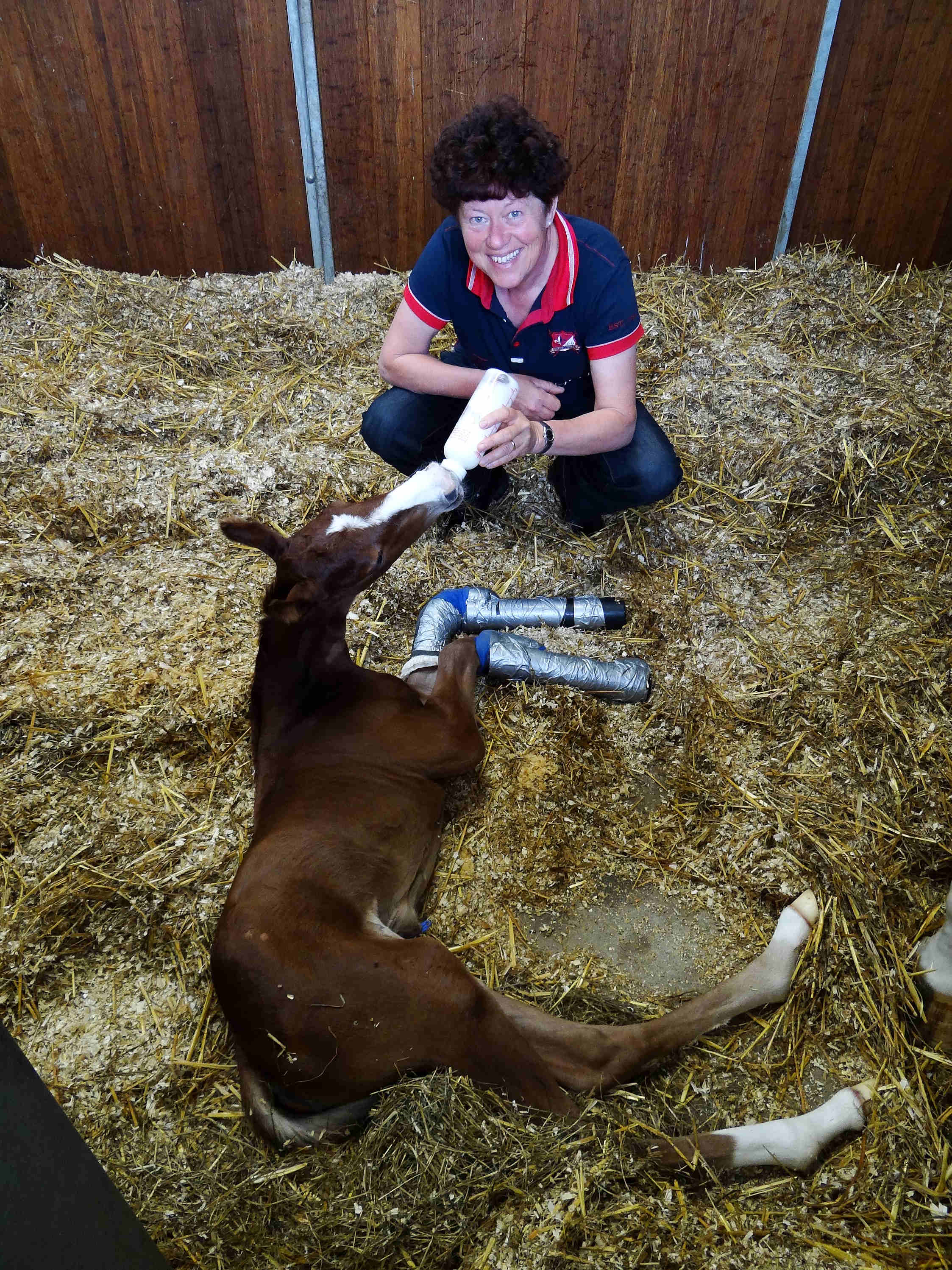 J'adora in Someren june 29