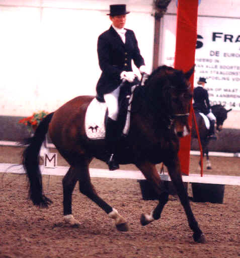 wpe14.jpg (28160 bytes)