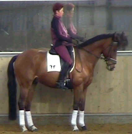 wpe22.jpg (14602 bytes)