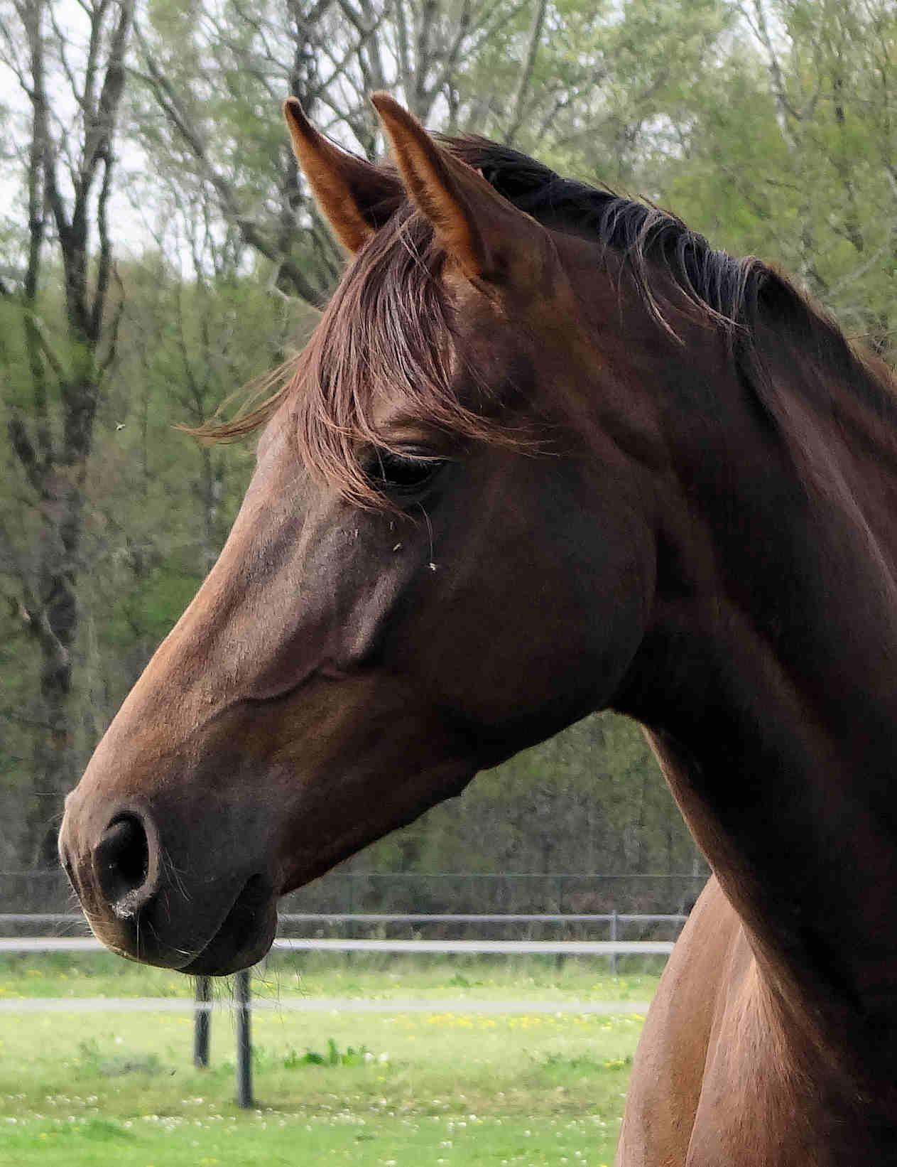 Lunadora 4 years old