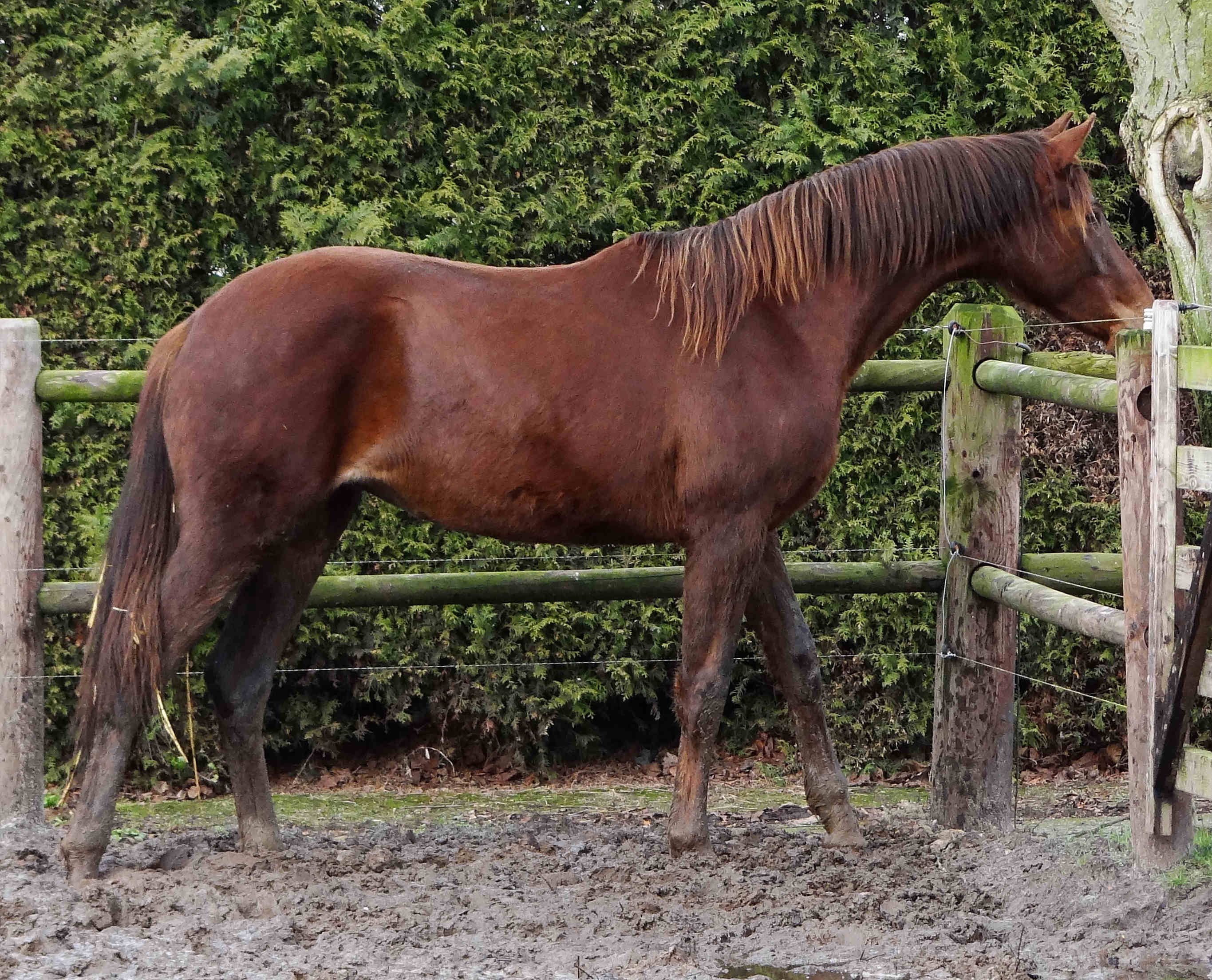 Lunadora almost 2 yrs old