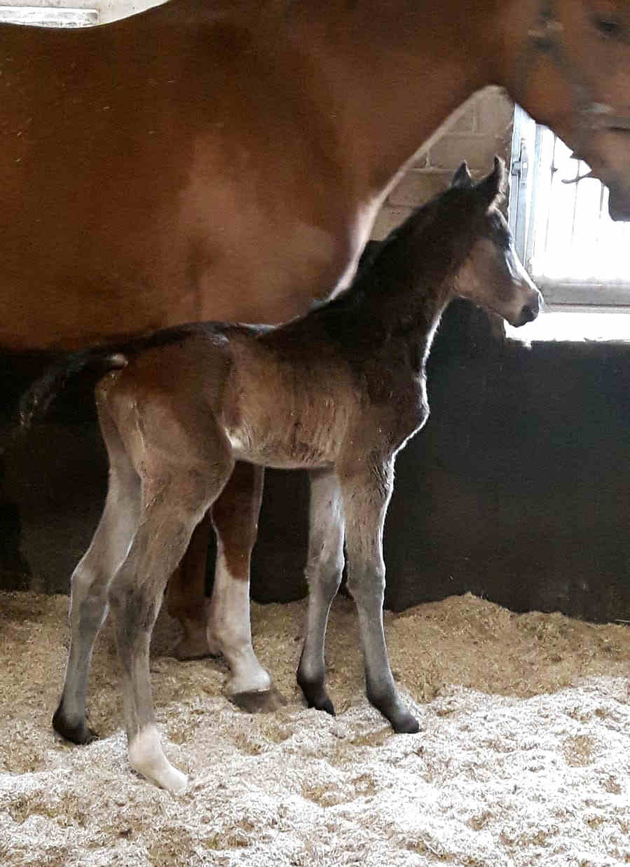 1 day old