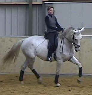 precision_trot_2.jpg (9979 bytes)