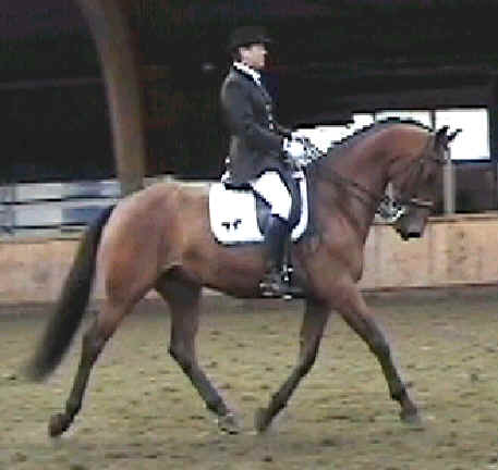 wpe2C.jpg (18471 bytes)