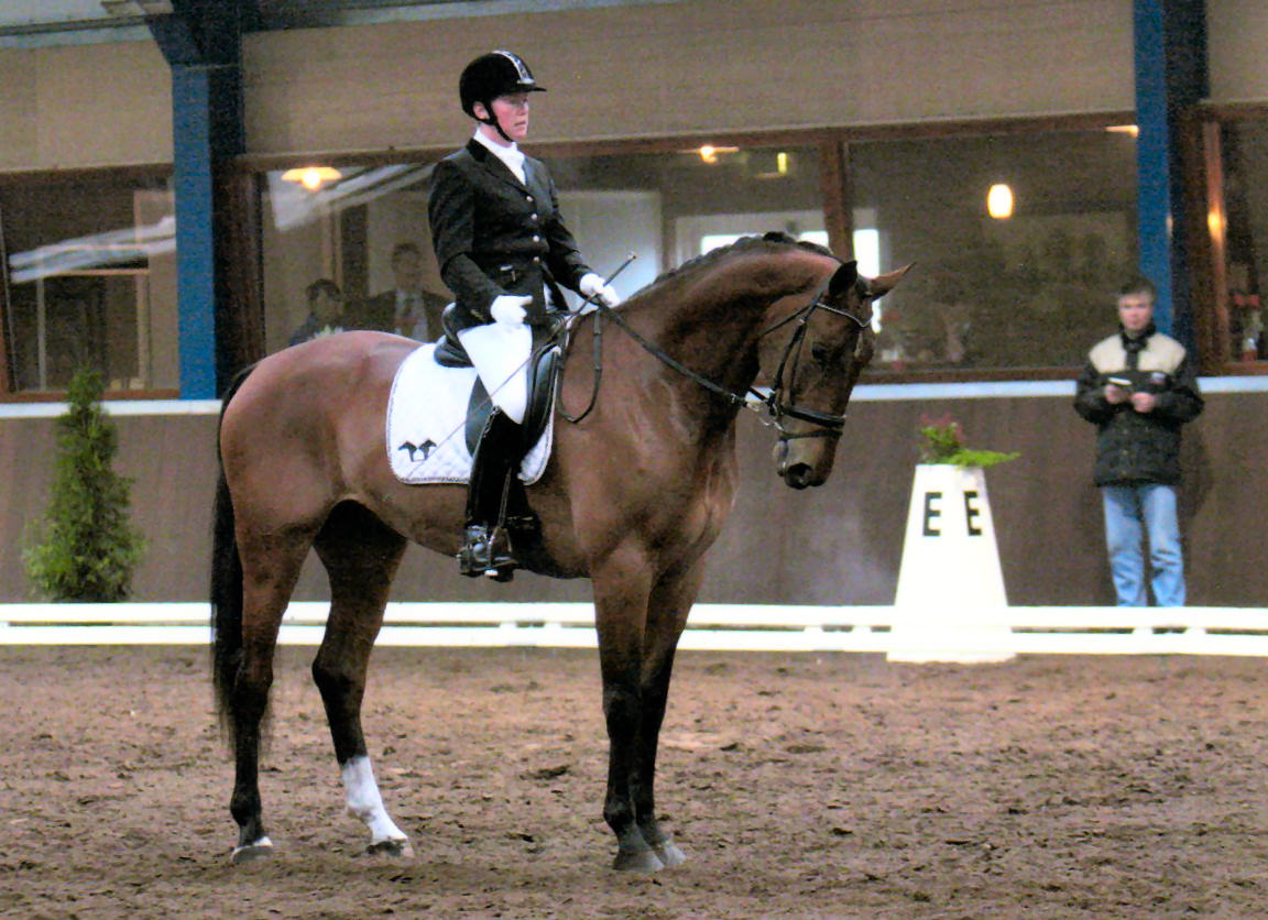 brabantse001-200dpi-small-25.jpg (187898 bytes)