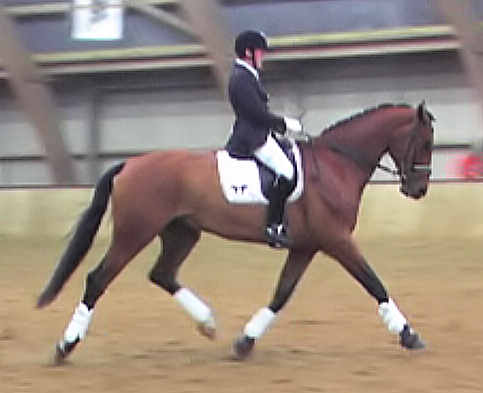 draf 11_bew.jpg (17588 bytes)