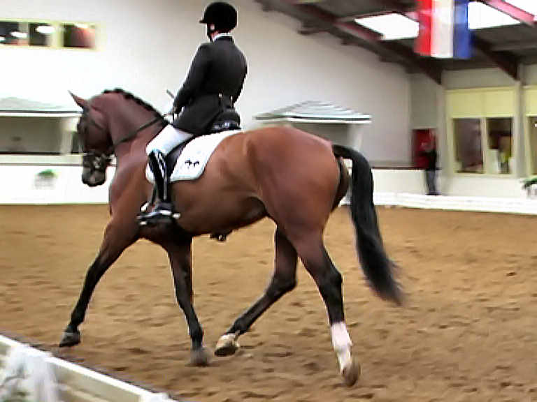 draf16_bew.jpg (42093 bytes)