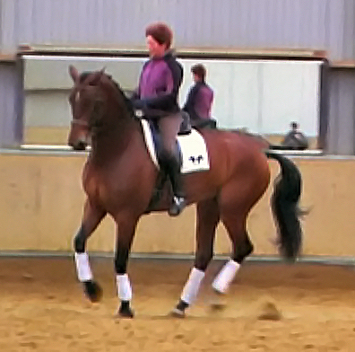 galop1_bew.jpg (176380 bytes)