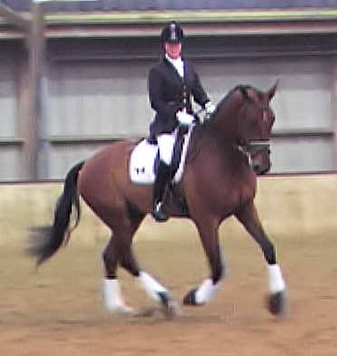 galop3_bew.jpg (14402 bytes)