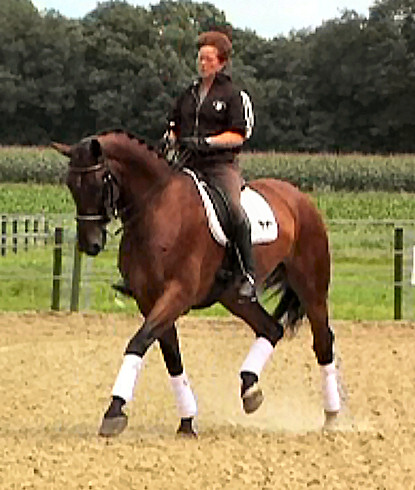 versace 200807 www-10.jpg (74882 bytes)