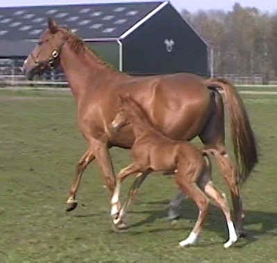 wpe5.jpg (15549 bytes)