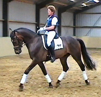 trot 6.jpg (176769 bytes)