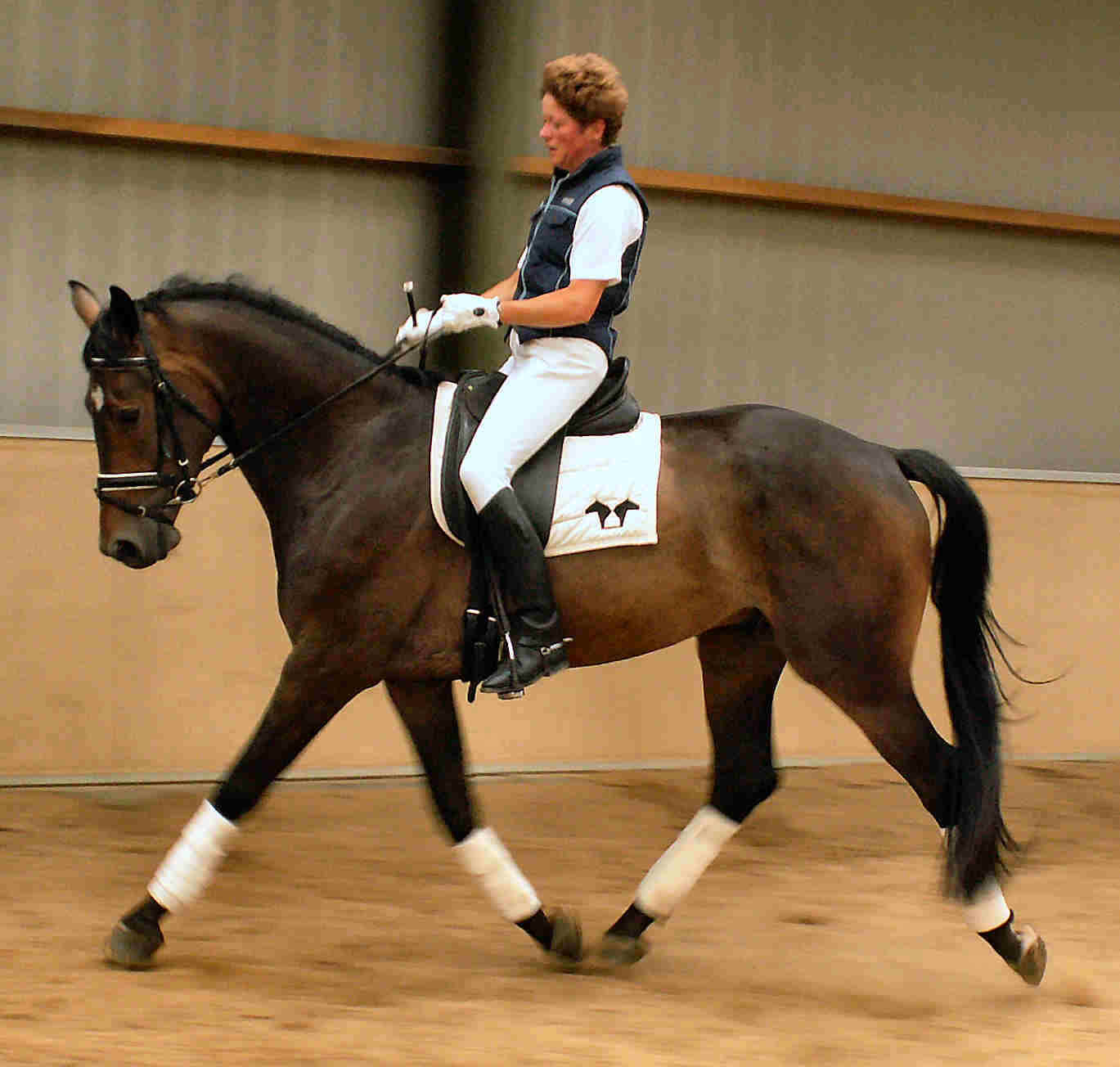 trot3_50%.jpg (117991 bytes)