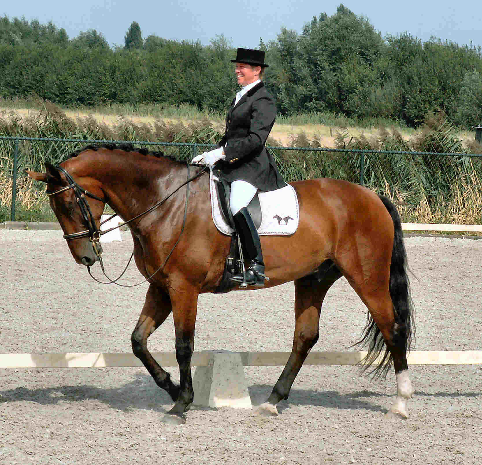 20080831 stap - www 60.jpg (220167 bytes)