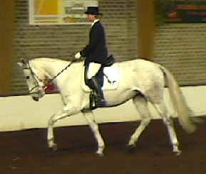 wendy_prec03.jpg (8598 bytes)