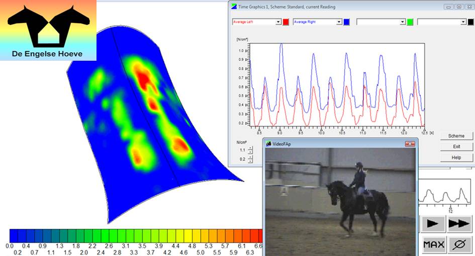 saddle pressure overall