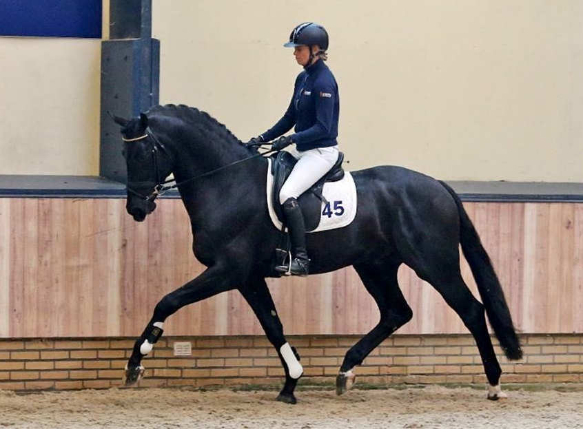 4 yo Imposantos